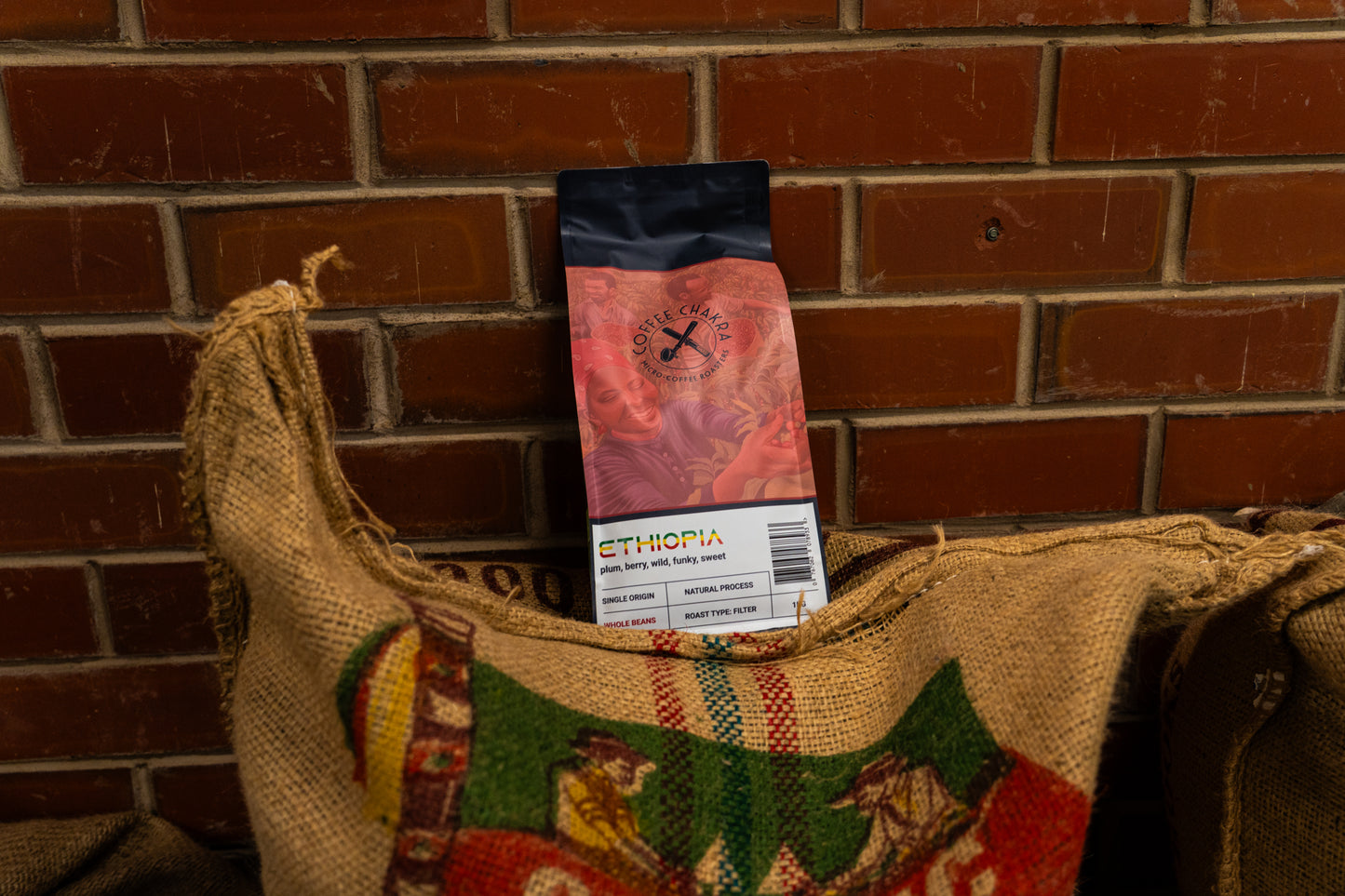 Ethiopia Single Origin — Filter Roast - Limited Release