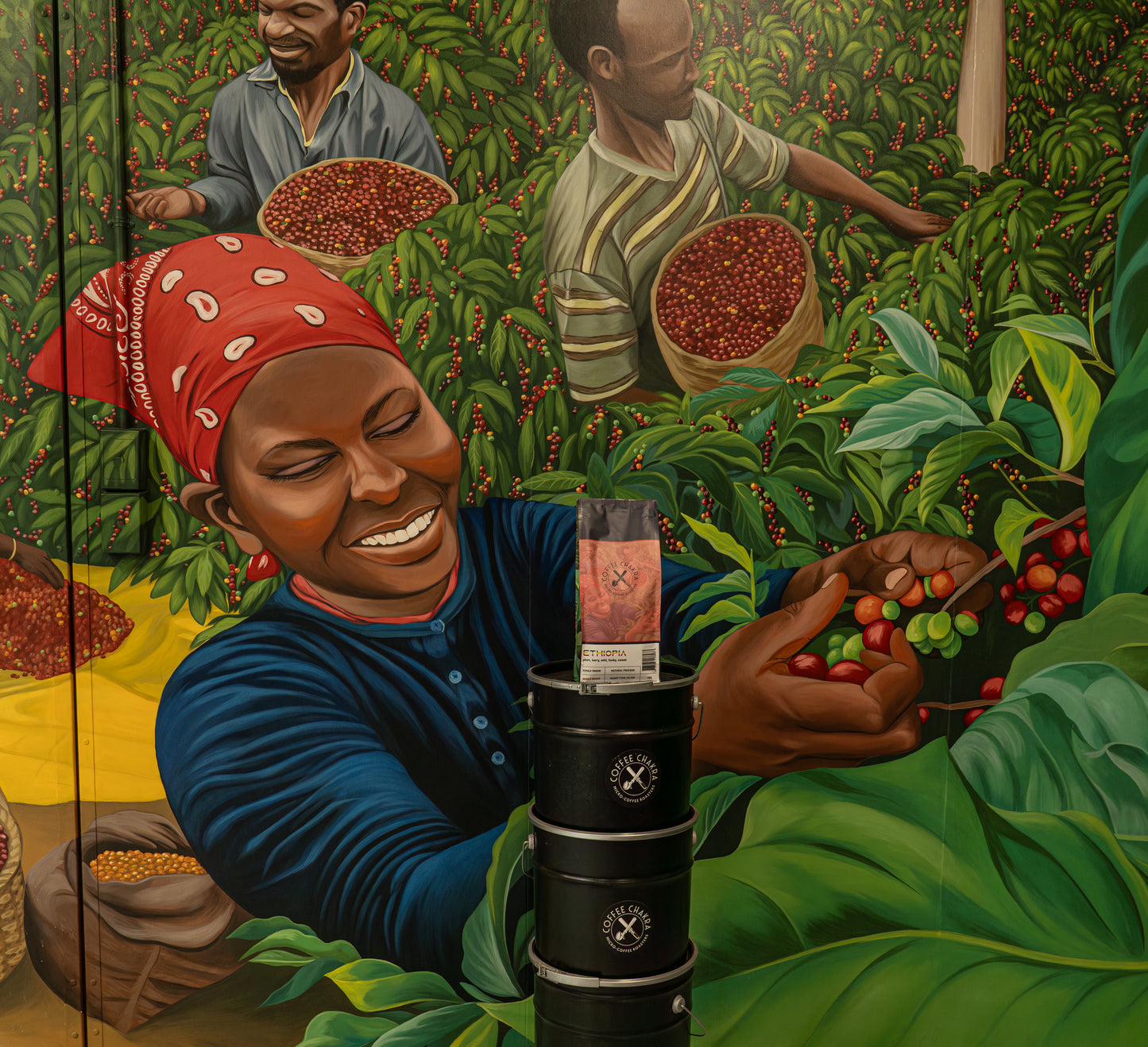 Ethiopia Single Origin — Filter Roast - Limited Release